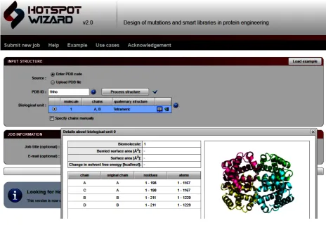 Figure 1. Hotspot wizard input interface for oxy-haemoglobin (1hho) 