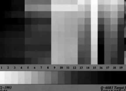 Figure 5A (See color insert following page 430) Q60 input characterization target.