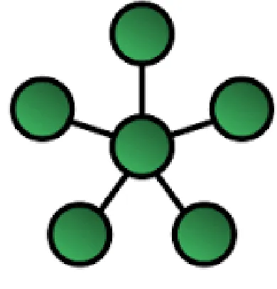 Figure 1: Star Network 