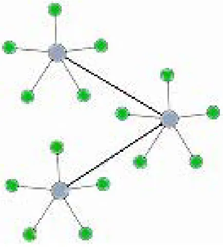 Figure 3: Hybrid Star-Mesh Network 