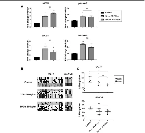 Fig. 2 nsPEFs promote OCT4 and NANOG expressions with increasing demethylation level of promoter