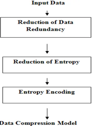 Fig. 1. Data Compressed Model 