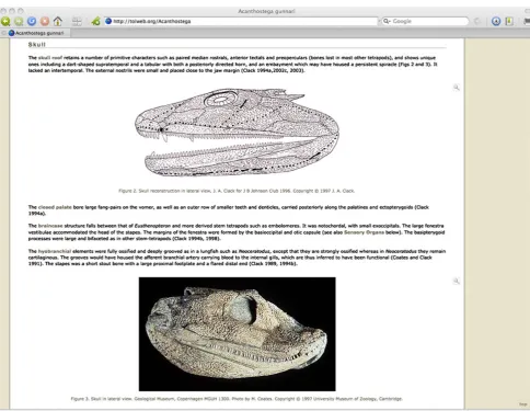 Fig. 3 Theof a ToL taxon page into sections, which differ from page to Acanthostega gunnari page, showing the organizationpage, depending on the nature of the taxon