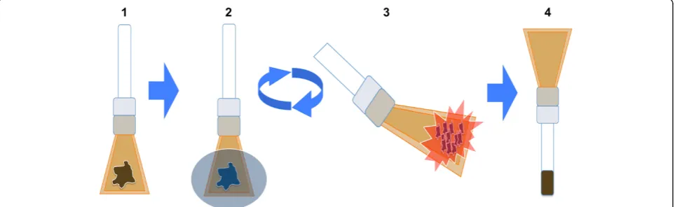Figure 1 Dry pulverization method overview. Tissue is placed in Covaris tissueTUBES with adapters and attached glass vials (step 1)