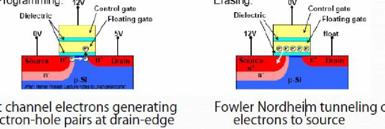 Fig 3: Flash memory operation (Ref: [1])