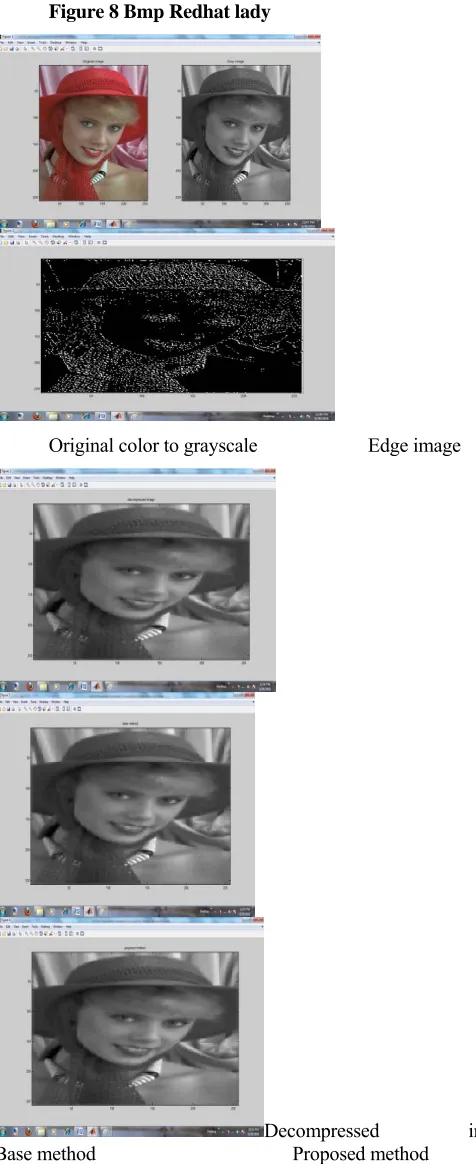 Figure 8 Bmp Redhat lady 