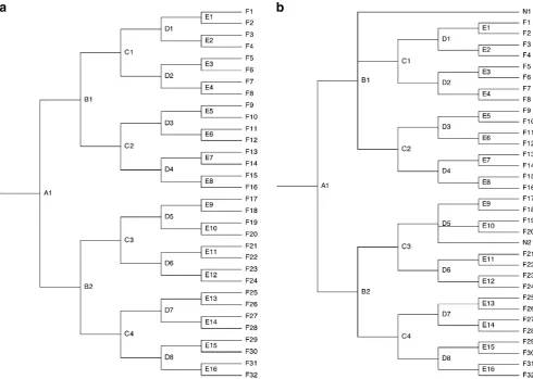 Fig. 1 Class splitting structure: a simple scheme for class with 32 students; b suggested instructor additions (N1 and N2) to demonstratepersistence of taxa