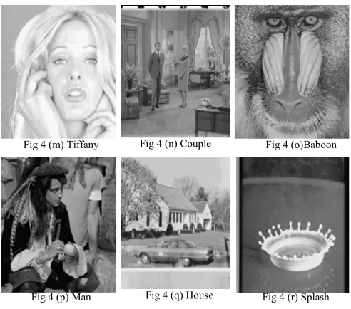 Fig 4 (n) Couple 