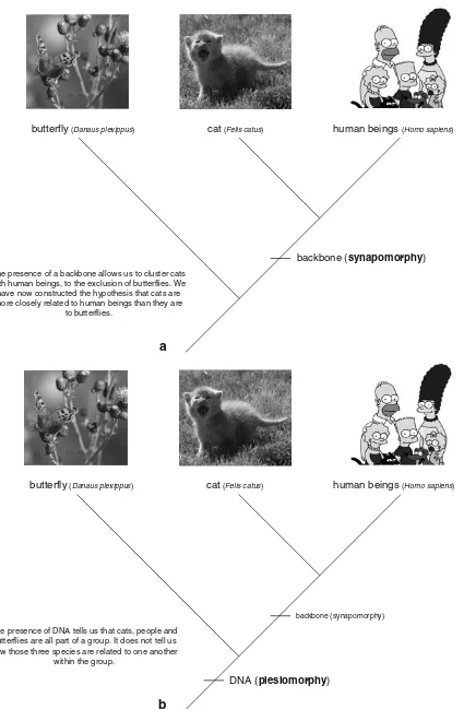 Fig. 4 Identifying types of characters on a phylogenetic tree. a a synapomorphy; b a plesiomorphy; c an autapomorphy