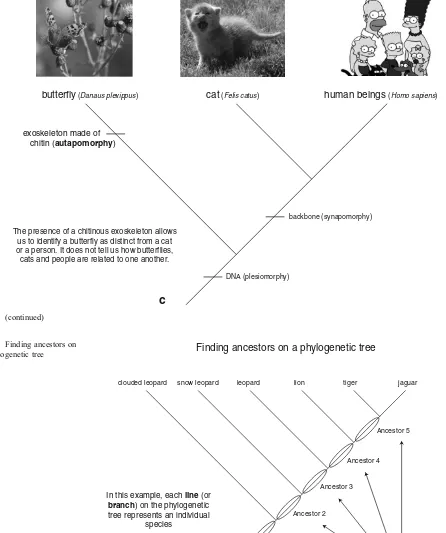 Fig. 4 (continued)