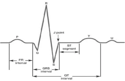 Figure 1: ECG Signal Showing P-QRS-T Wave 