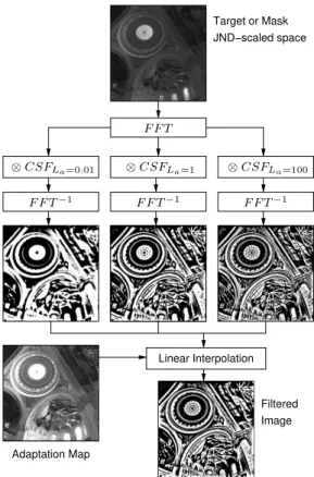 Figure 5: To account for a changing shape of the Contrast Sensitivity Function (CSF) with luminance of adaptation, an image is filtered using several shapes of CSF and then the  fil-tered images are linearly interpolated