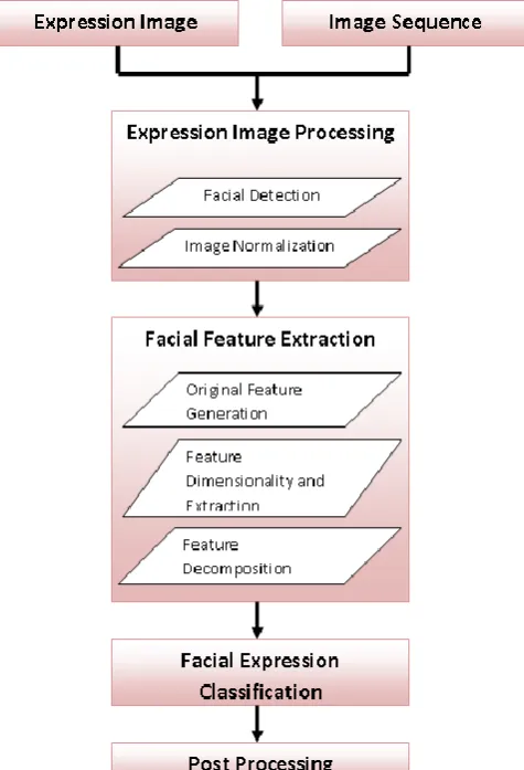 Figure 1: Organizational  Model (FER)  