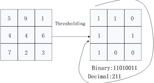Figure 2: Samples of textures which may be acknowledged by LBP (white circles represent 1 and black circles 0) [30] 