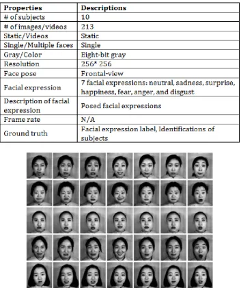 Table I. Properties of JAFFE Database 