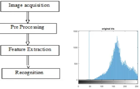 Fig. 3: Phases in Iris Recognition  