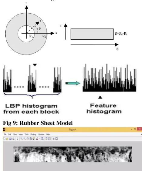 Fig 9: Rubber Sheet Model 