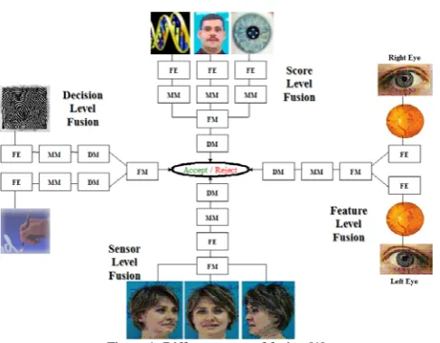Figure 1. Different types of fusion [1] 