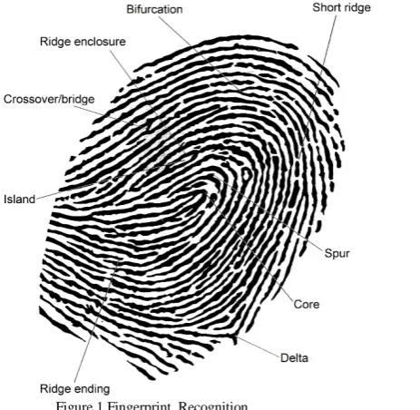 Fig. 1 below:  