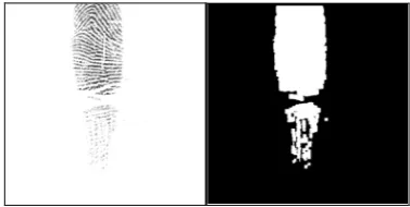 Figure 4. Original Image taken from DB1 and its variance image 