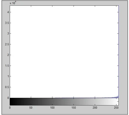Figure 10. Histogram of original image taken from DB1  