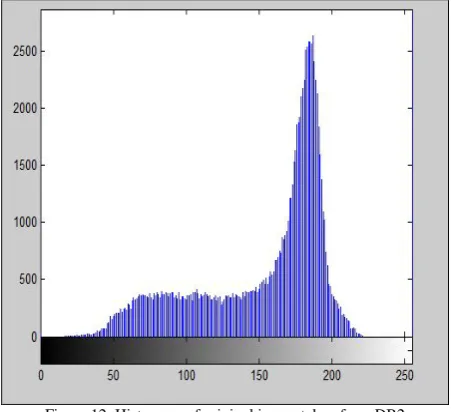 Figure 12. Histogram of original image taken from DB2 