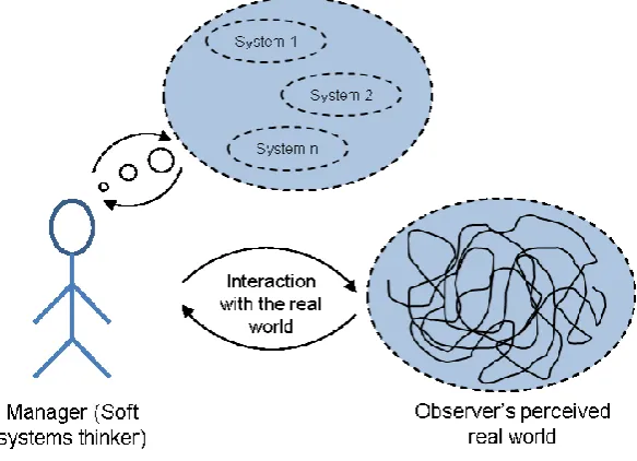 Figure 2.4: A soft systems thinker’s interaction with the world 
