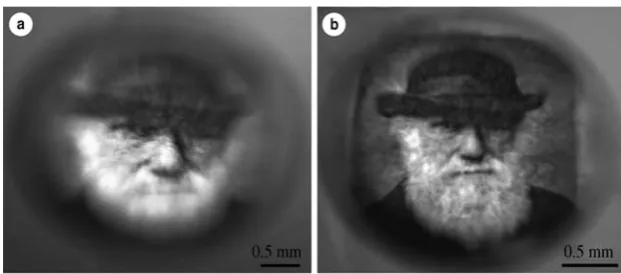 Fig. 8 The results of a theoretical model (not, as it is sometimesdescribed, a “simulation”) developed by Nilsson and Pelger (1994) to testthe time required for a complex camera-type eye to evolve through aseries of gradual steps from a simple patch of lig