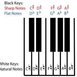 Figure 1.28: Seven of the twelve possible notes in each octave (Section 4.1) are &#34;natural&#34; notes.