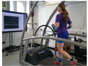 Figure 1. Participant during feedback condition. Screen shows the tibial acceleration signal (white peaks) together with the target (green line)