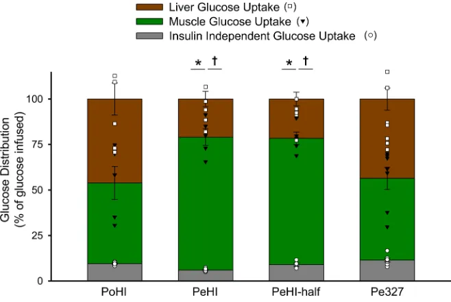 Figure 6. Glucose distribution. Liver, muscle, and insulin-insensitive tissue glucose uptake (percentage distribution) during the experimental period in overnight-fasted conscious dogs in the portal vein insulin (PoHI), peripheral vein insulin (PeHI), peri