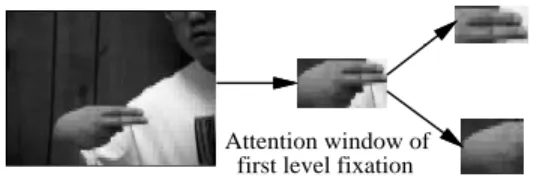 Figure 1: An illustration of two level xations of an input hand image.