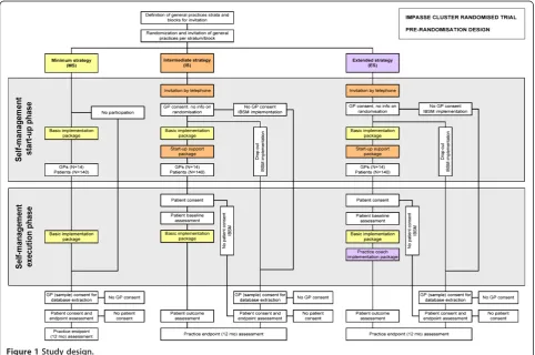 Figure 1 Study design.
