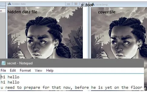 Figure 2.Encoding method: hiding process using S-tool
