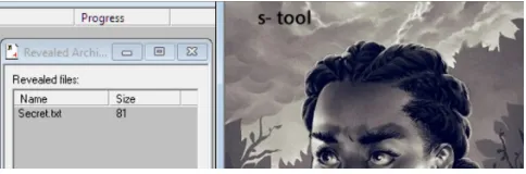 Figure 7.Decoding method: decoding method at the S-tool