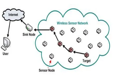Figure 1.1 Wireless sensor networks 