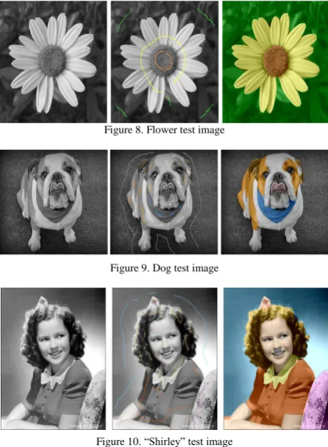Figure 8. Flower test image 