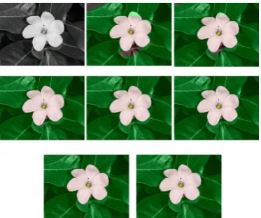 Figure 15. SCA image colorization using the Moore neighborhood method with a range of 1 on the flower image 
