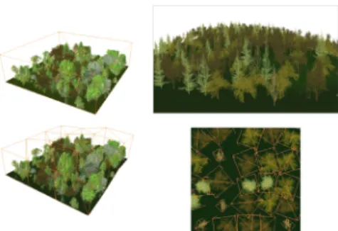 Figure 11:  Design from Realtime Landscaping pro program shows the growth  of vegetation in the site