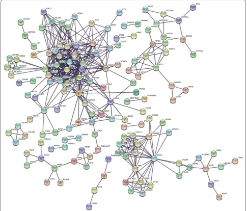 Fig. 3 PPI network of DEGs. DEGs, differentially expressed genes; PPI: protein–protein interaction
