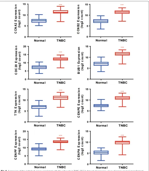 Fig. 5 Expression of the eight hub genes correlated with the cell cycle in TNBC (TCGA dataset)