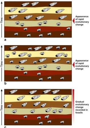 Fig. 2 Allopatric speciation. Abeetle population is divided intwo by a river. Over time, eachsubpopulation evolves geneticdifferences