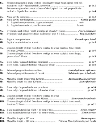 Fig. 4 a Puzzle pieces for onefossil find to be assembled andcompared with other viewswithin the classroom