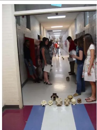 Fig. 8 Students use the hallway, with each floor tile or lockerrepresenting 50,000 or 100,000 years, to place the extinct skulls alonga chronological timeline