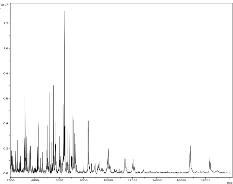 Figure 3. Transmission electron microscopy of H. massiliense strain JC206T, using a Morgani 268D (Philips) at an operating voltage of 60kV.The scale bar represents 900 nm