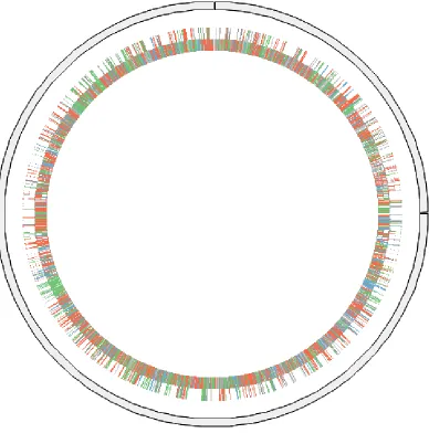 Figure 5. Graphical circular map of the chromosome. Genes are colored according to their COG categories as follows: information storage and processing (blue), cellular processing and signaling (green), metabolism (red) and poorly characterized (grey)