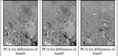 Figure(4). Shows the PCA of image differences (2013-2000). 