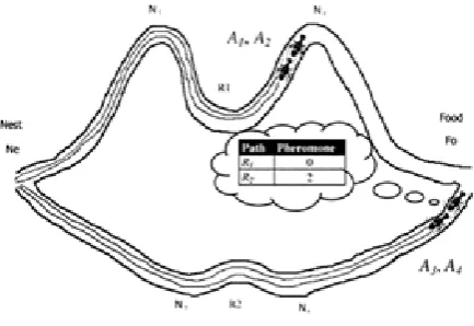 Figure 13 Problem Solving of ants 