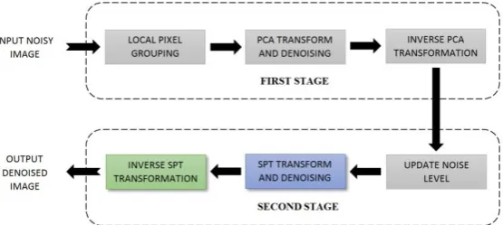 Figure 1.  Flowchart of the proposed PCA-SPT denoising scheme. 