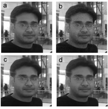 Figure 3.  (a) Original image Rajesh; (b) noisy image (PSNR= 28.1 dB); (c) denoised image after the first stage of the proposed method (PSNR= 35.5 dB) and (d) denoised image after the second stage of the proposed method (PSNR=36.2 dB)